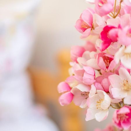Guesthouse Rose Сараєво Екстер'єр фото