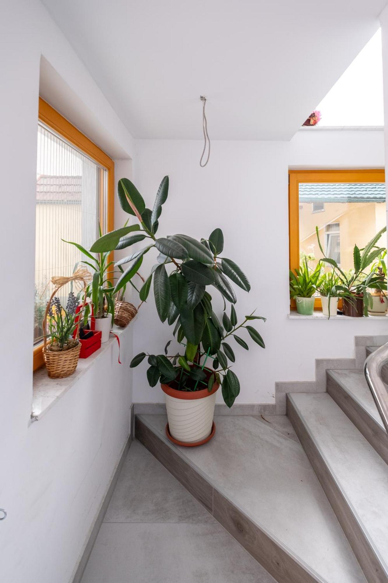 Guesthouse Rose Сараєво Екстер'єр фото